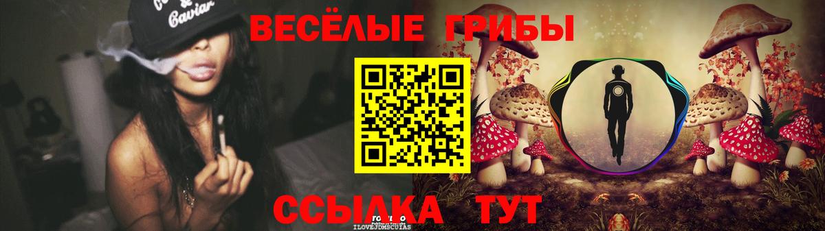 Красный Сулин  Псилоцибиновые грибы GOLDEN TEACHER  Псилоцибиновые грибы мицелий  Вход с VPN 