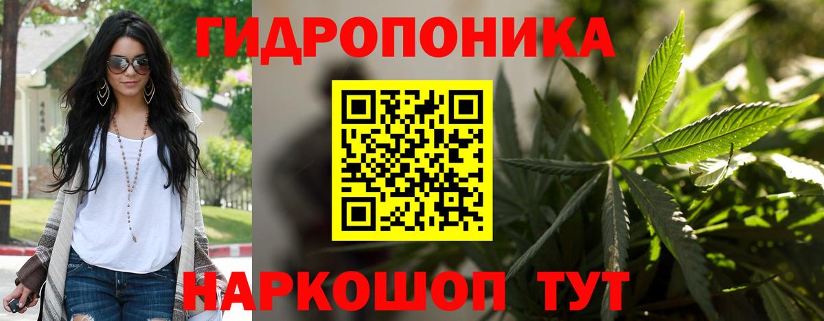 Каннабис OG Kush Красный Сулин